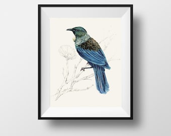 値下げ！ニュージーランド人気アーティストの鳥Tuiのキャンバス写真 Tui Print, Native Bird of New Zealand Painting - Etsy