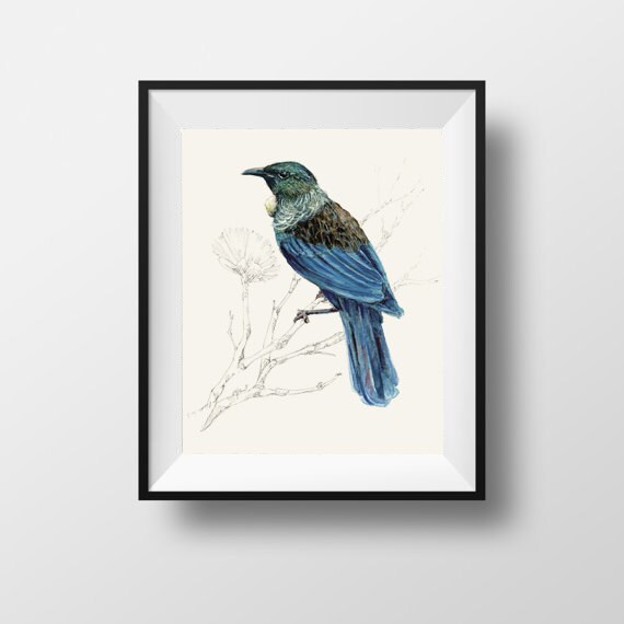 Tui bird art - Etsy 日本