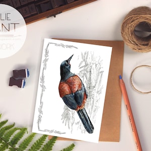 Carte sellier - Carte de voeux pour oiseaux indigènes Tieke de Nouvelle-Zélande