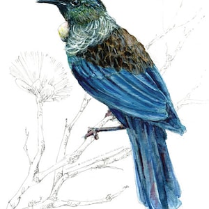 May include: Watercolor painting of a blue and brown bird perched on a branch. The bird has a yellow patch on its throat and is facing to the left. The branch is bare and has several thin branches extending from it.