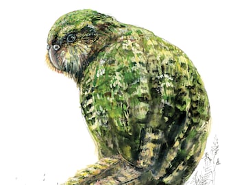 Estampado de ave kakapo - Nueva Zelanda