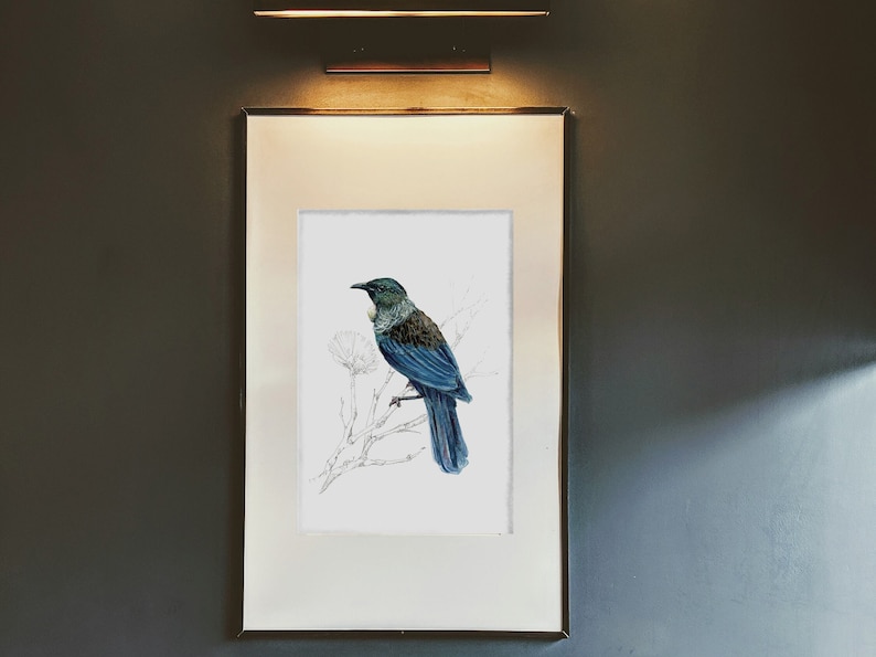 May include: A framed illustration of a blue bird perched on a branch with white flowers. The bird has a white patch on its throat and a long tail.