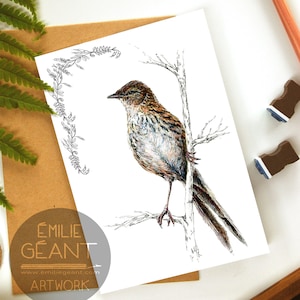 Carte fougère - Carte de voeux pour oiseaux indigènes Matata de Nouvelle-Zélande