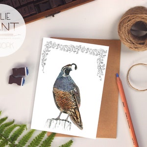 Quail - Neuseeland Vögel Grußkarte