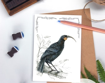 Huia card -  New Zealand native birds greeting card