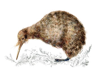 Impression d'oiseau kiwi - Art néo-zélandais