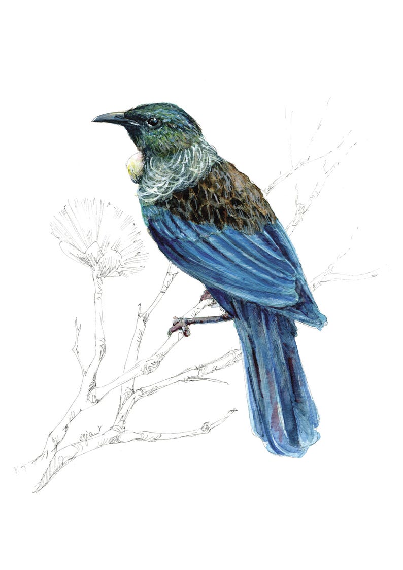 May include: A watercolor painting of a blue and green bird perched on a branch. The bird has a long, blue tail and a small, yellow patch on its chest.