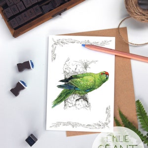 Carte Kakariki - Carte de voeux pour oiseaux indigènes perruche de Nouvelle-Zélande