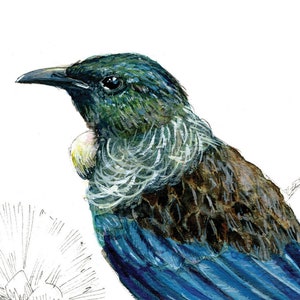 May include: A close-up of a blue, green, and brown bird with a long, thin beak. The bird is perched on a branch and has a white patch on its chest.