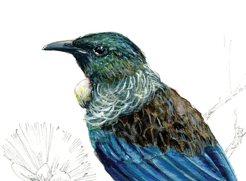 May include: A close-up of a blue, green, and brown bird with a long, thin beak. The bird is perched on a branch and has a white patch on its chest.