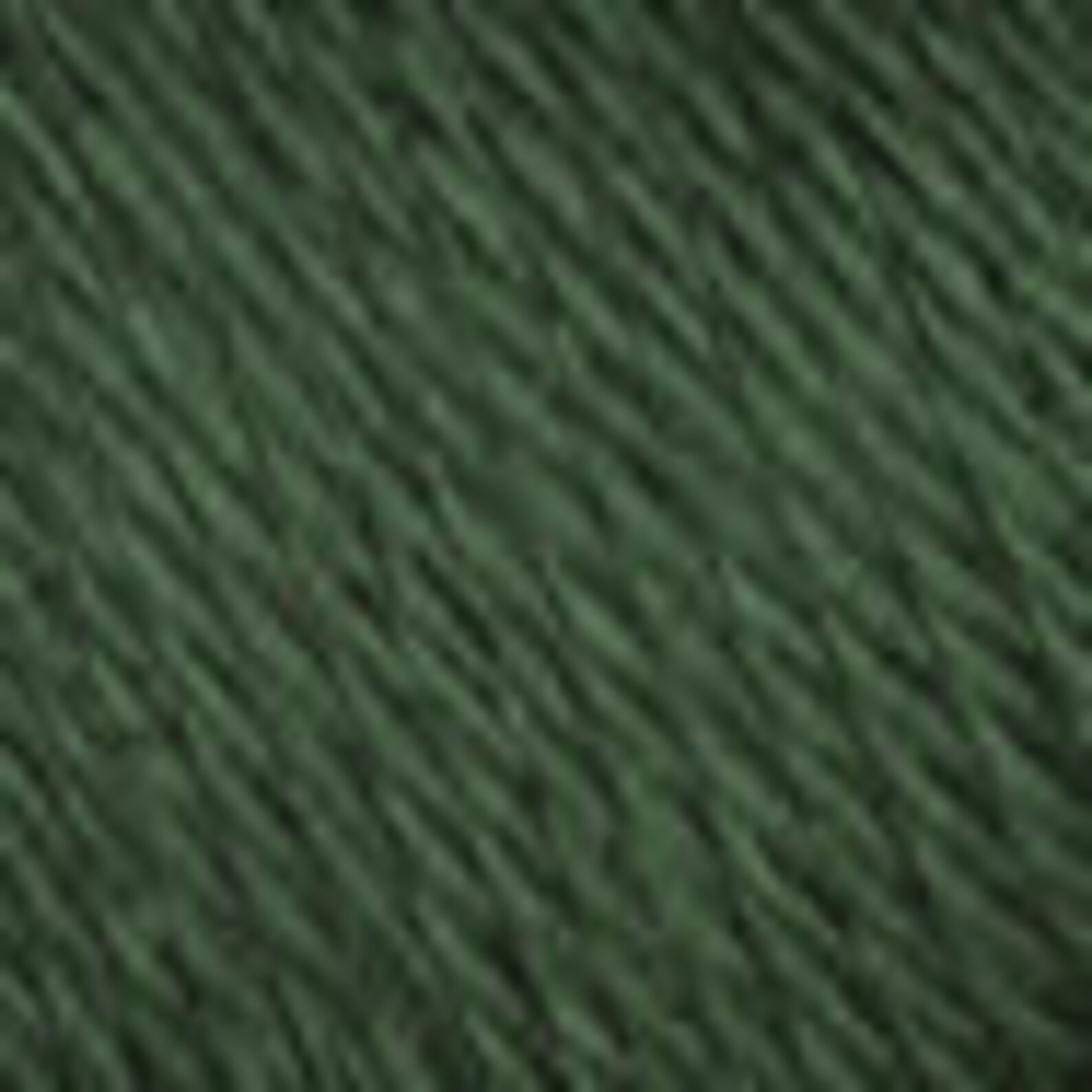 Caron Simply soft in sage green dark green acrylic yarn Etsy