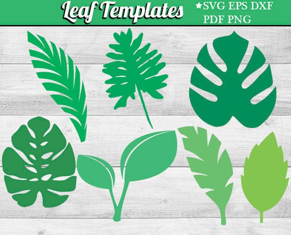 Download Leaf SVG Template Tropical leaves Silhouette Leaf Paper | Etsy