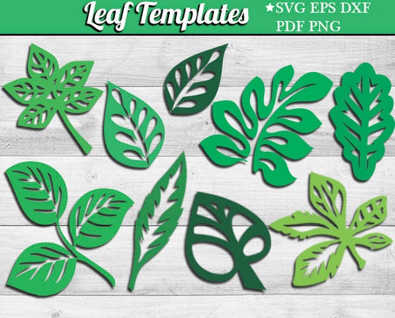 leaf svg template eps dxf tropical leaves silhouette leaf etsy
