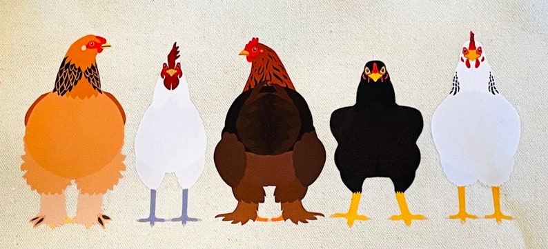 May include: Five different types of chickens, each with unique plumage and colours. The chickens are standing in a row on a white background. The chickens are all facing forward, with their heads held high. The chickens are all different breeds, with different colours and patterns of feathers.