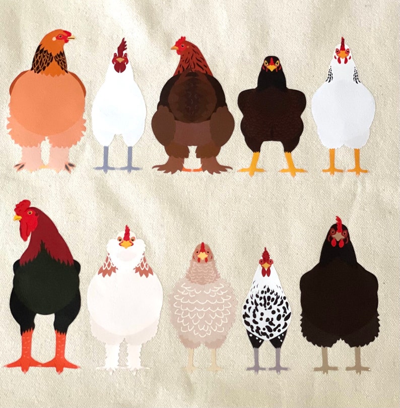 May include: A set of ten illustrated chickens in various colours and breeds. The chickens are all facing forward and have different expressions on their faces.