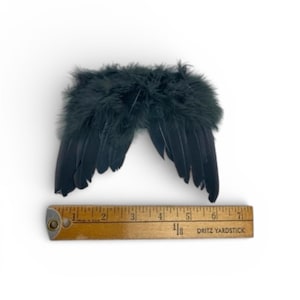 May include: Black feather angel wings with a fluffy top section. The wings are approximately 6 inches wide. A wooden ruler with the text "Dritz Yardstick" is below the wings.