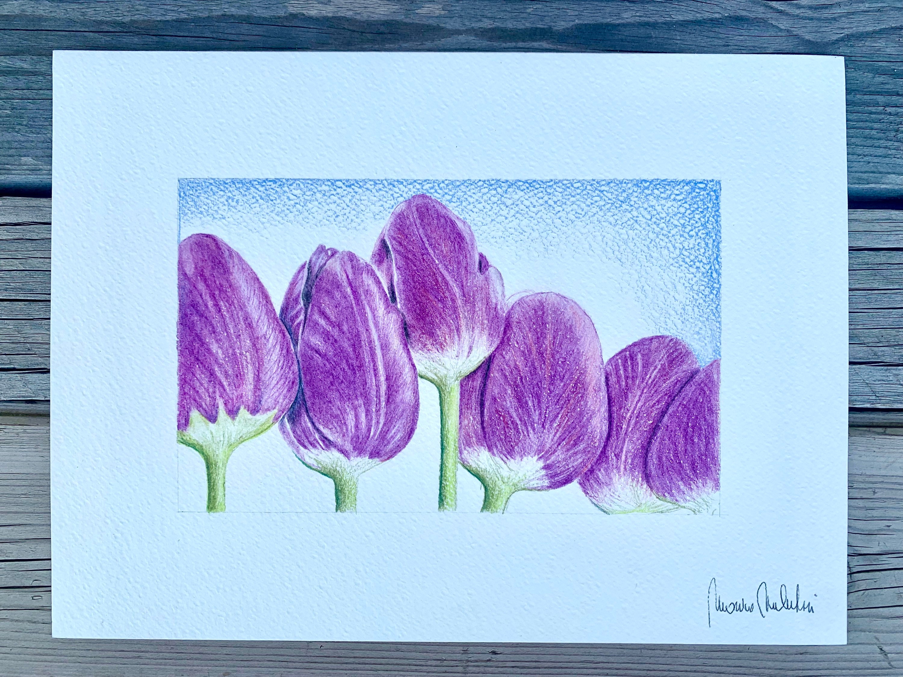 Floral Fantasy Purple Tulips Retractable Gel Pens Set, Flower Pens