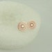 see more listings in the Ohrstecker Rosegold section