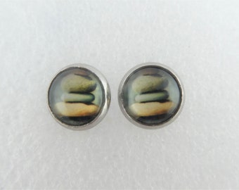 Cabochon Ohrstecker Ohrringe silber-grau Steine rund minimalistisch 10mm Edelstahl