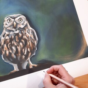 Edwin, Little Owl Limited Edition Print