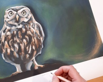 Edwin, Little Owl Limited Edition Print