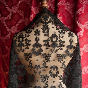 Peut inclure: Un tissu de dentelle noire drapé sur un mannequin. La dentelle présente un motif floral avec des motifs symétriques et détaillés. Le tissu est transparent, permettant de voir partiellement le mannequin. Le fond est un tissu rouge avec un motif subtil.