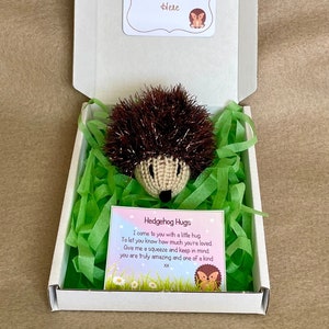 Mini knitted hedgehog gift thinking of you little pocket hug thank you friendship love birthday get well keepsake