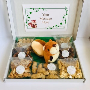 Nut And Squirrel Letterbox Snack Gift Birthday Thinking Of You valentines Christmas Thank You Gift
