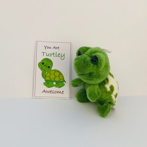 Turtley awesome mini turtle plush gift thinking of you keepsake friendship love valentine’s day