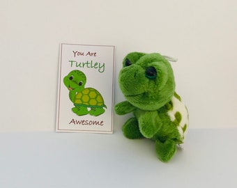 Turtley awesome mini turtle plush gift thinking of you keepsake friendship love valentine’s day