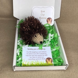 Mini knitted hedgehog gift thinking of you little pocket hug thank you friendship love valentines get well keepsake