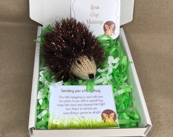 Mini knitted hedgehog gift thinking of you little pocket hug thank you friendship love valentines get well keepsake
