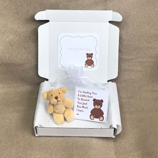 Mini teddy bear gift thinking of you little pocket hug thank you friendship love valentines get well keepsake