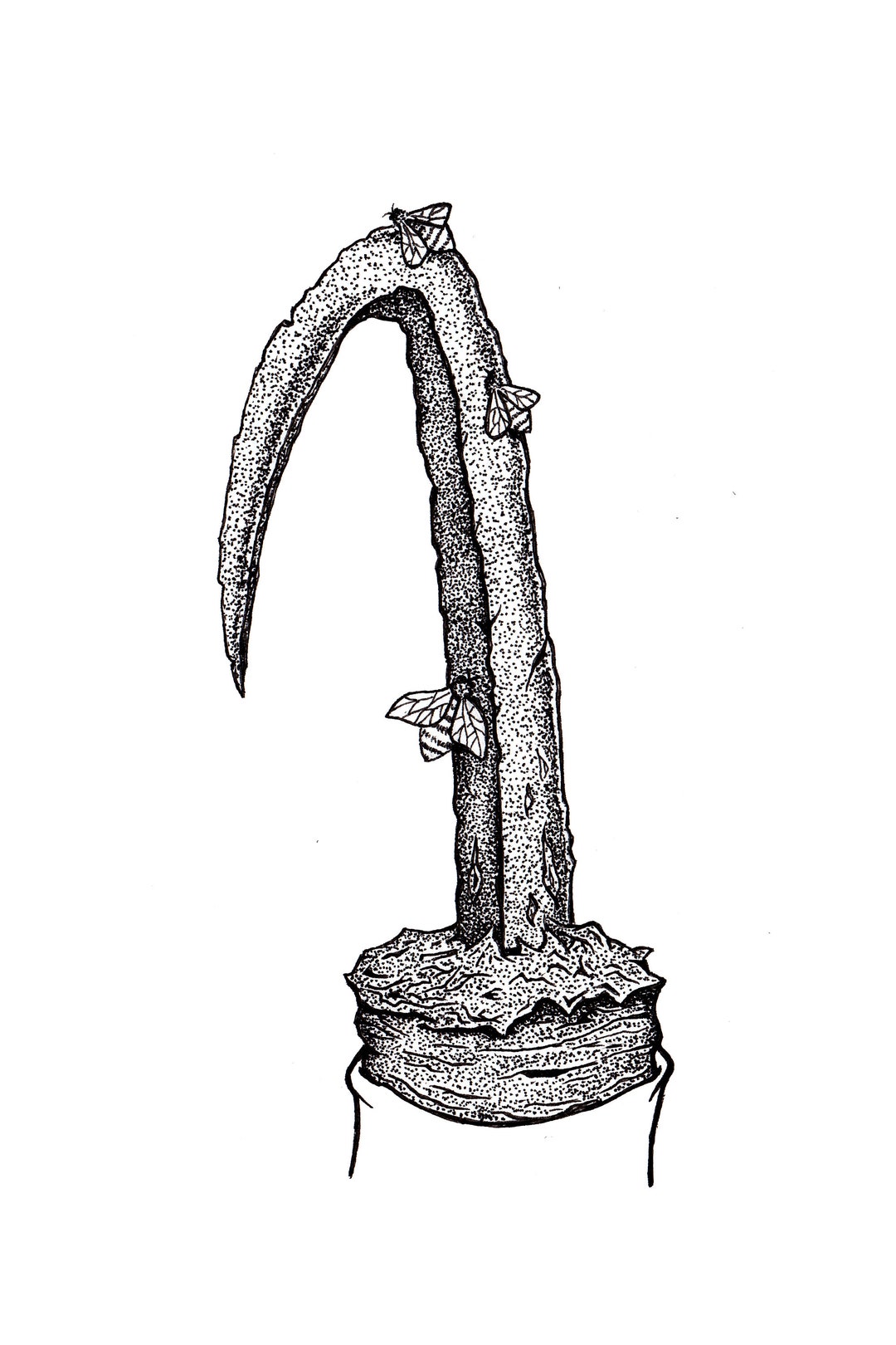 Candyman Original Ink Drawing Art Illustration - Etsy