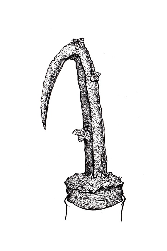 Candyman Original Ink Drawing Art Illustration Etsy