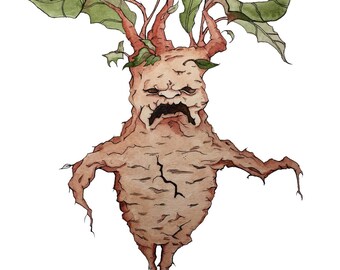 Mandrake watercolor art illustration print