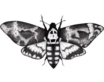 Silence Of The Lambs Death Moth illustration ink print