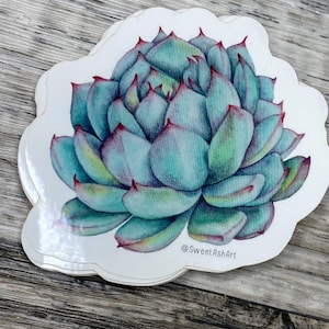 Illustration aquarelle autocollant succulent
