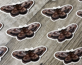 Sticker Moth