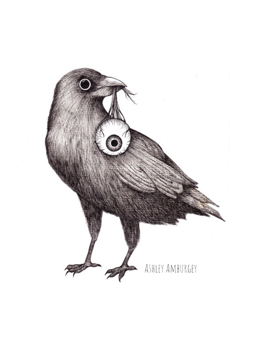 Alfred Hitchcocks the Birds Ink Illustration Art Print - Etsy