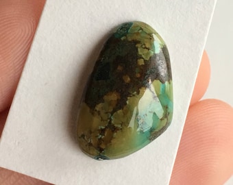 Tibetan Turquoise Old Stock Collector's Piece Freeform Cabochon