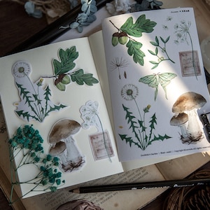 Doolittle es Garden 2 Sticker Set, Roxanne, Botanische Sticker Sheet, Pflanzen Sticker, Nature Themed Journal Kiss-Cut Sticker