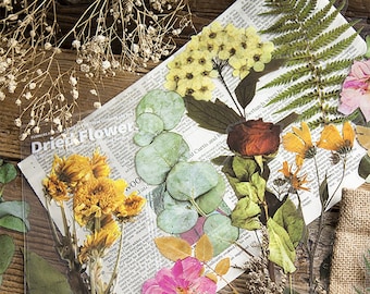 Extra-Large Dried Flowers Clear Stickers Pack, Die-Cut Plants Specimen Stickers, Botany, Pressed Rose, Fern, Pressed Flowers,