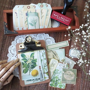 Pacote de adesivos de etiquetas botânicas, adesivos de ilustração de plantas e ervas vintage, jardim botânico, floral, diário de lixo