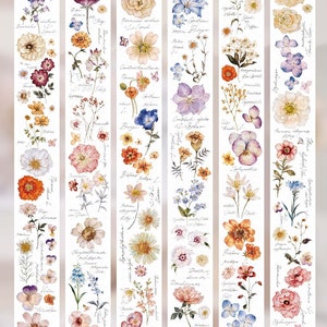 TAPE SAMPLE, Freckles Tee Blume Illustriertes Handbuch Masking Tape, Floral Aquarell Illustration Sticker für Journal und Planer