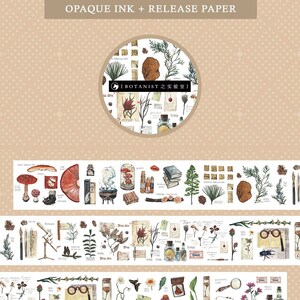 Échantillon de ruban adhésif, ruban de masquage de la série Botaniste, Benchu, ruban d’illustration de spécimens de plantes, fleur, champignon, autocollants de sciences naturelles