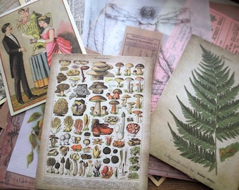 58PCS Journaling Cards, Vintage Collection 3 Paper Pack, Ephemera, Junk Journal Kit, Planner, Mushroom, Plant