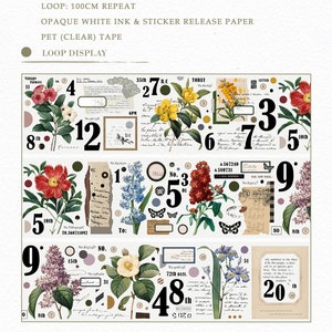 テープサンプル、Mooka Studio Botanical Studies Field Notes PET テープサンプル、ビンテージ植物学イラストコラージュマスキングテープ、花柄、キノコ