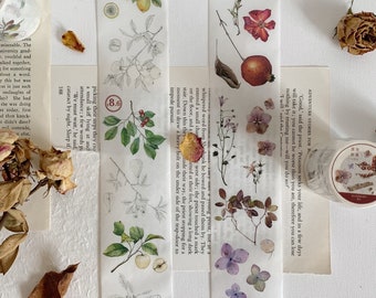 May include: Three rolls of decorative washi tape featuring botanical illustrations. The tapes feature images of lemons, apples, berries, flowers, and leaves. The tapes are printed on a white background.