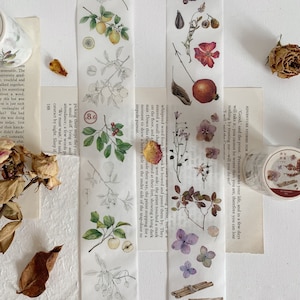 Vintage Flower Specimen Tape Roll, Nature Series Masking Tape, Fruit Trees, Botany Illustration Masking Tape for creative journal,